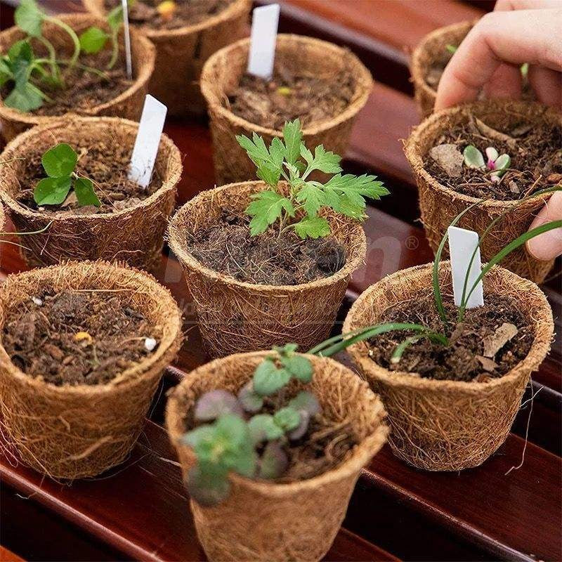 Coconut Coir Seedling Pots - Natural Biodegradable Plant Starter Cups