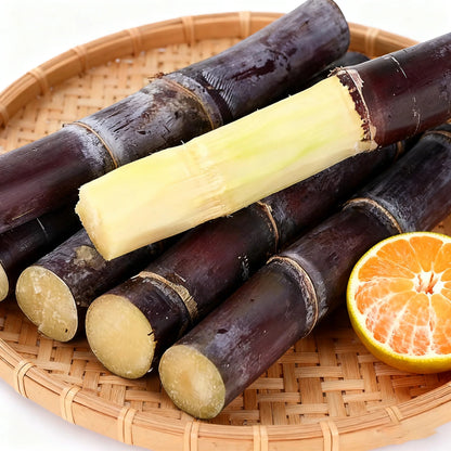 Sweet Harvest Starter Kit 🌱 Sugar Cane — Grow Your Own Natural Sweetness at Home