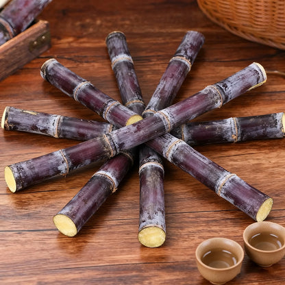 Sweet Harvest Starter Kit 🌱 Sugar Cane — Grow Your Own Natural Sweetness at Home