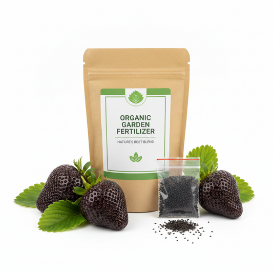 Giant Black Diamond Strawberries Seeds