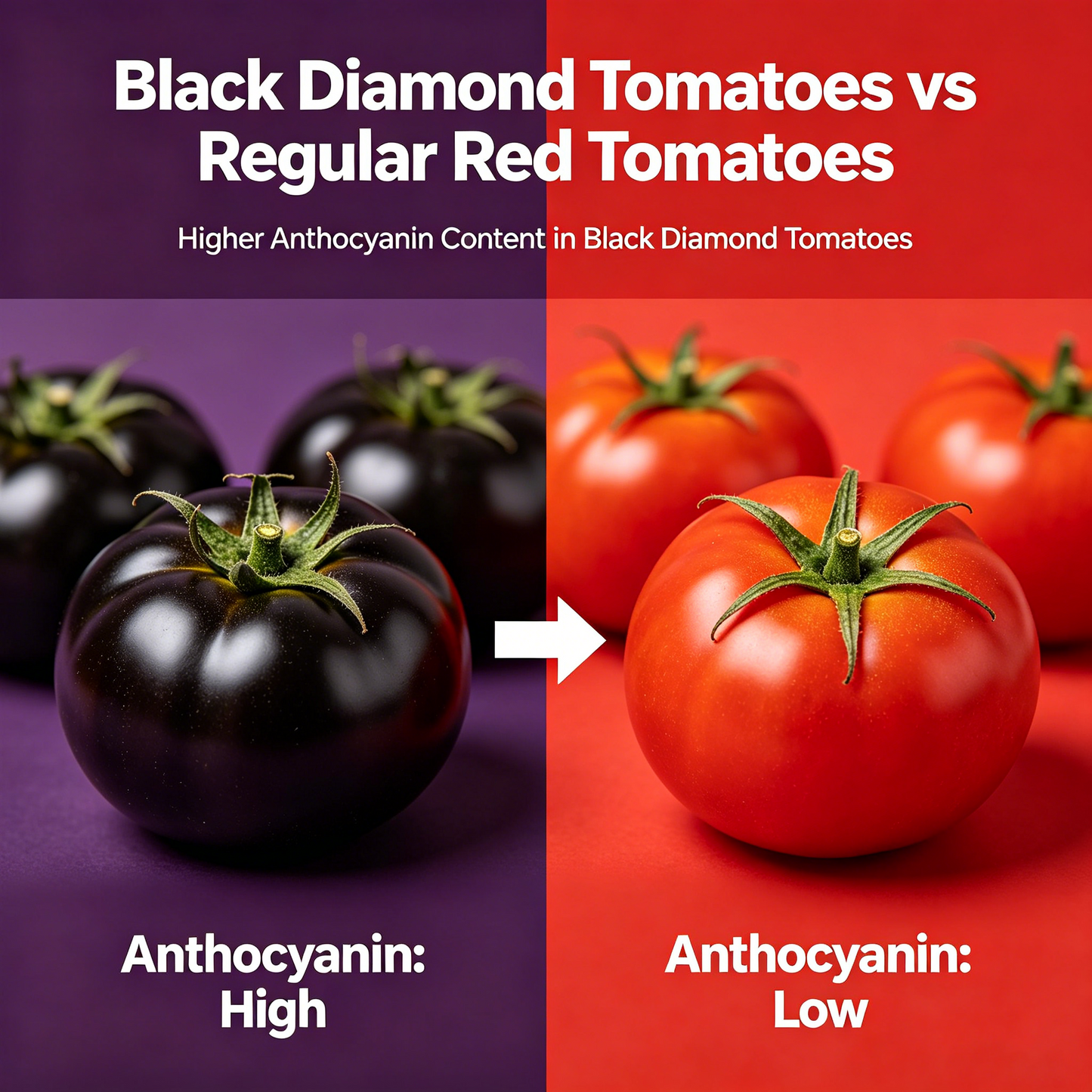 Black Diamond Tomato-High Anthocyanin,Sweet & Juicy
