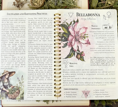 The Amish Herbalism Bible