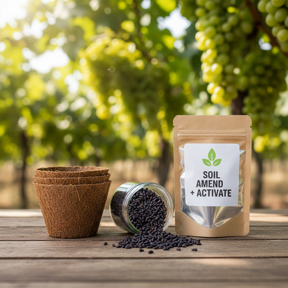 Giant Grape Seeds: Seedless Juicy Giant