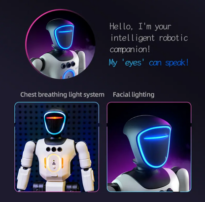 Intelligent Interactive Humanoid Robot