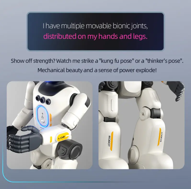 Intelligent Interactive Humanoid Robot