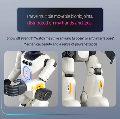 Intelligent Interactive Humanoid Robot
