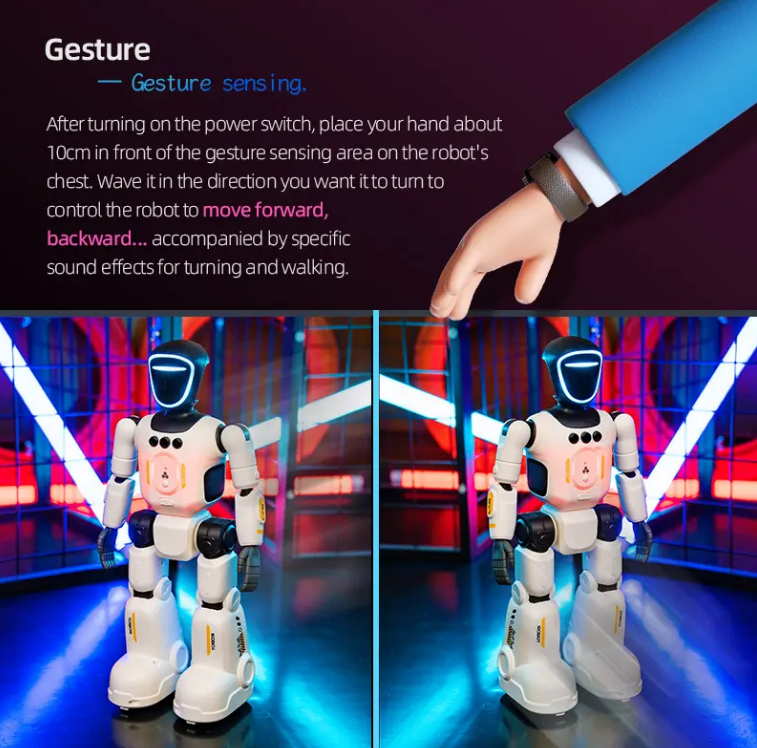 Intelligent Interactive Humanoid Robot