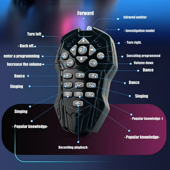 Intelligent Interactive Humanoid Robot