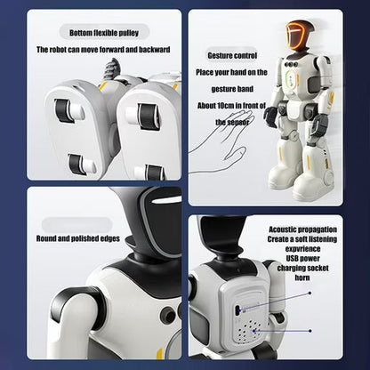 Intelligent Interactive Humanoid Robot