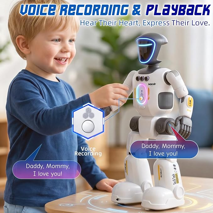 Intelligent Interactive Humanoid Robot