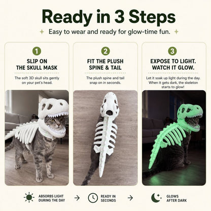Glow-in-the-Dark Dinosaur Skeleton Pet Costume 🦖💚