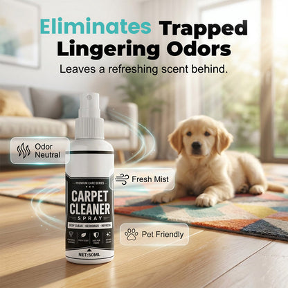 😱 Watch That Stain Disappear!Deep Cleaning Carpet Cleaner Spray