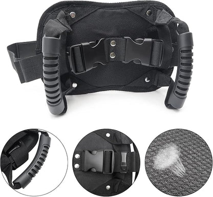 Motorcycle Rear Passenger Seat Grab Handle