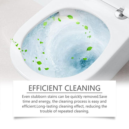 Oxalic Acid Toilet Cleaner