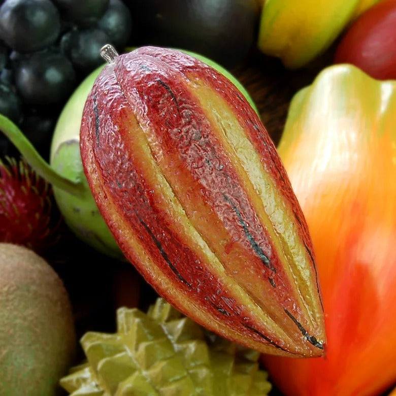 Organic Cocoa Fruit Seeds – Non-GMO, Low Maintenance, Grow Your Own Cocoa Harvest