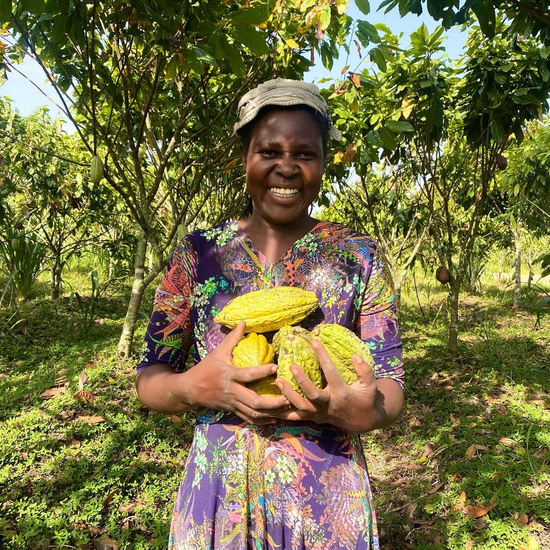 Organic Cocoa Fruit Seeds – Non-GMO, Low Maintenance, Grow Your Own Cocoa Harvest