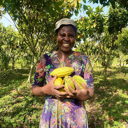 Organic Cocoa Fruit Seeds – Non-GMO, Low Maintenance, Grow Your Own Cocoa Harvest