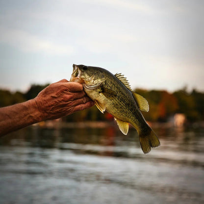 Foldable Fishing Rod Never Miss Another Cast