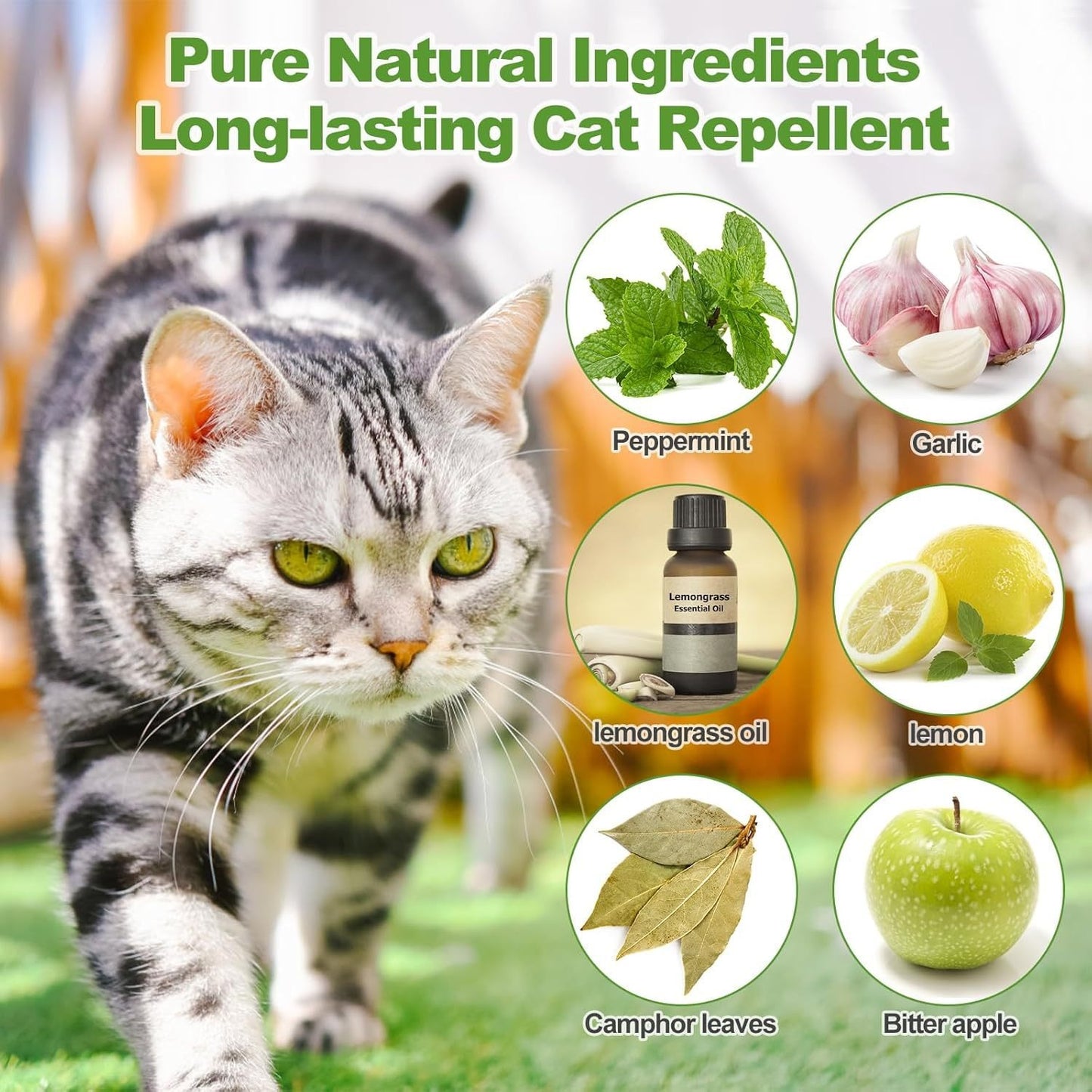 Natural Peppermint Cat Deterrent Outdoor and Indoor