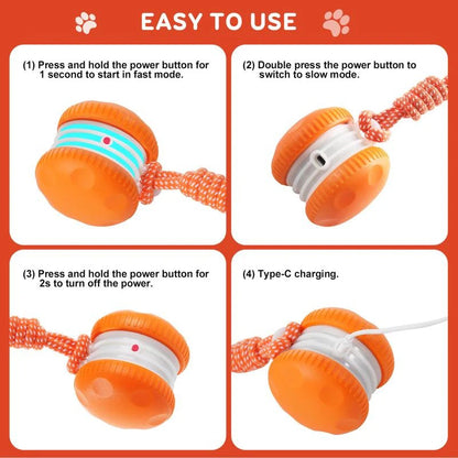 🐶 Smart Buddy Ball- Keep Your Pet Relaxed, Happy & Content 🐾