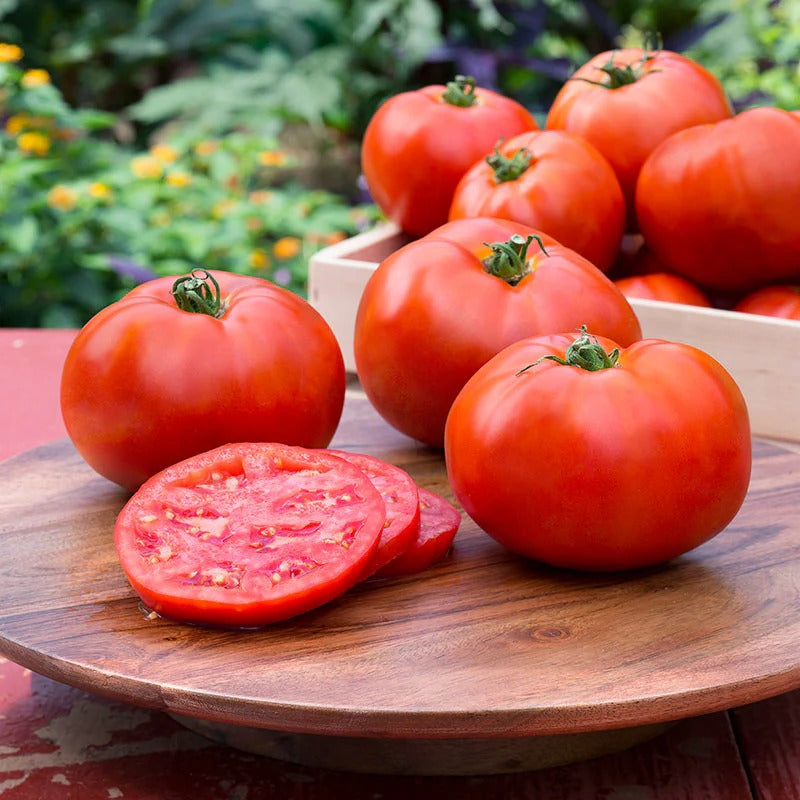 200 ORGANIC TOMATO