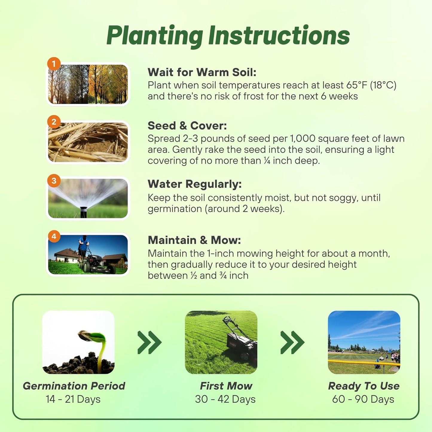 7 Days Germination🌱 Evergreen Dwarf Grass Seed for Four Seasons