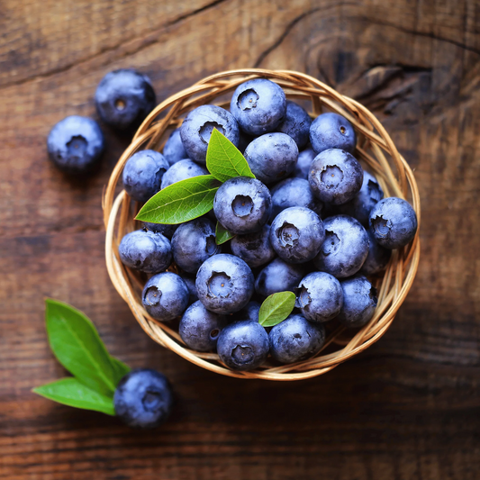 200 Sweet & Hardy Blueberry Bush