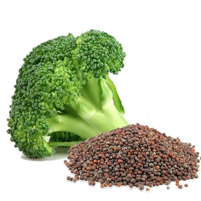 100 Broccoli