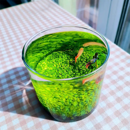 Aquatic plant